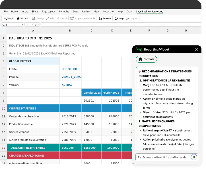 Sage-business-financil-report-comp2-fr-V2 (1)